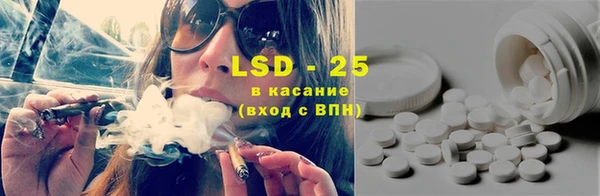 PSILOCYBIN Балахна