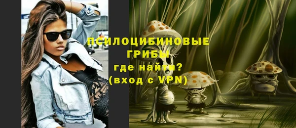 дмт Киреевск