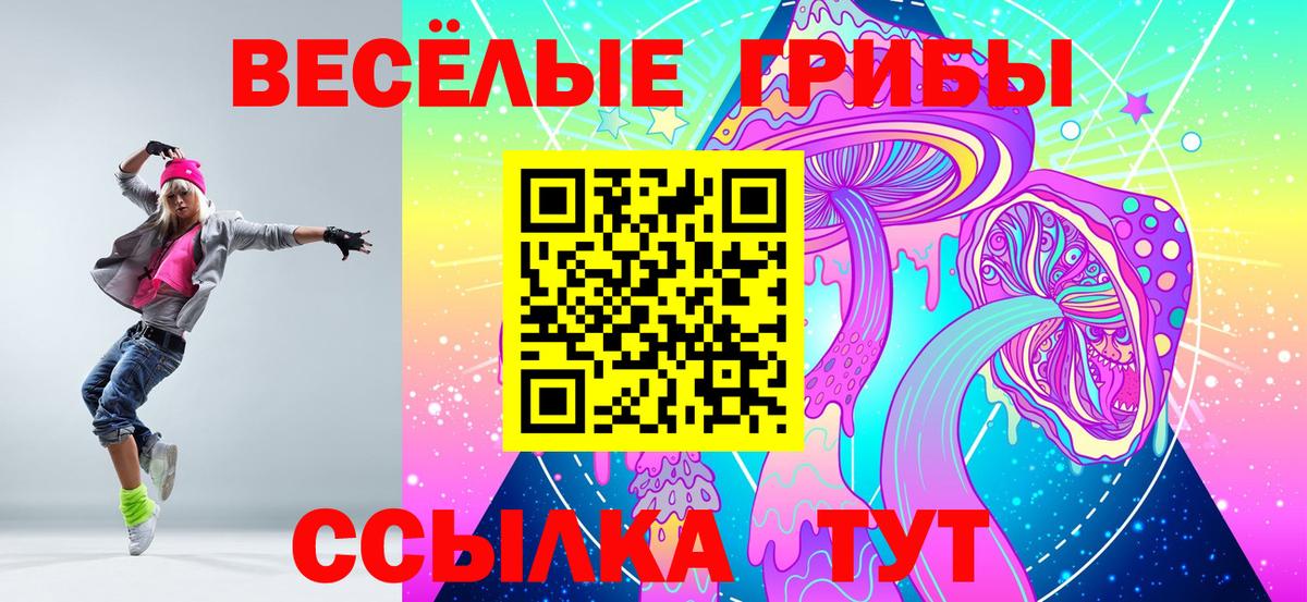 Галлюциногенные грибы Psilocybe Липецк