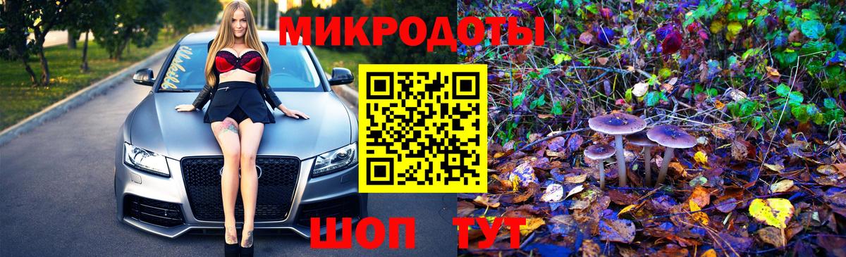 Псилоцибиновые грибы Psilocybine cubensis  Вход с VPN  Липецк 