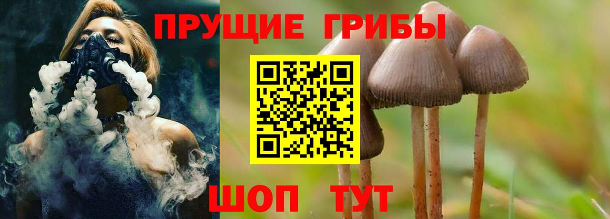 Галлюциногенные грибы Psilocybine cubensis Липецк