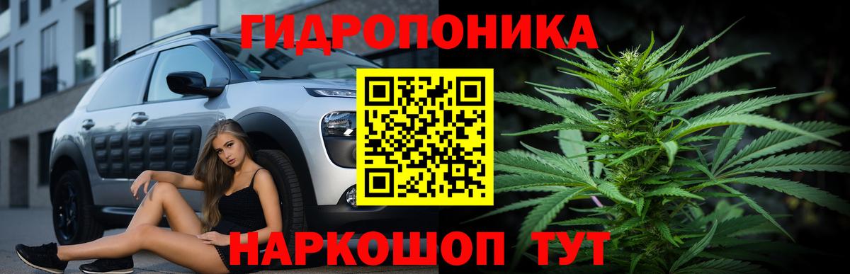 МАРИХУАНА тримм  Конопля SATIVA & INDICA  Бошки Шишки OG Kush  Вход с VPN  Липецк 